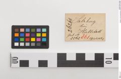 Etiketten zu Bronzegürtelblech (NHMW-PRAE-026268)